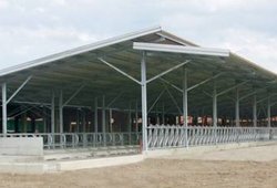 Оборудование для Кормления Телят и Автоматические Кормушки и Поилки